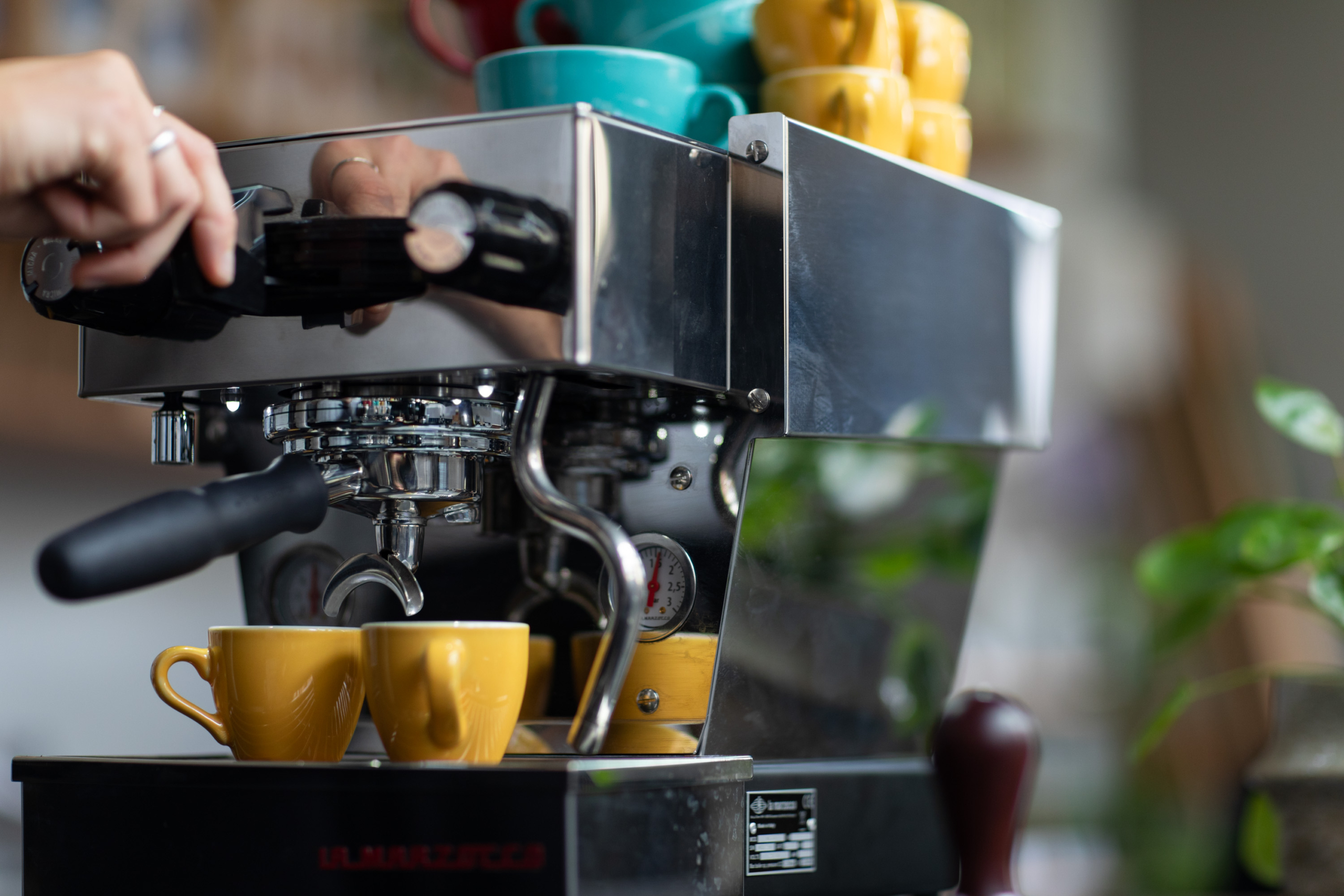 Panel: Future of Coffee