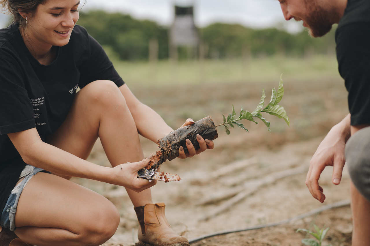Kleine Familienproduzenten aus Brasilien: Talk & Cupping w/ Graycano & NOCA Brasil